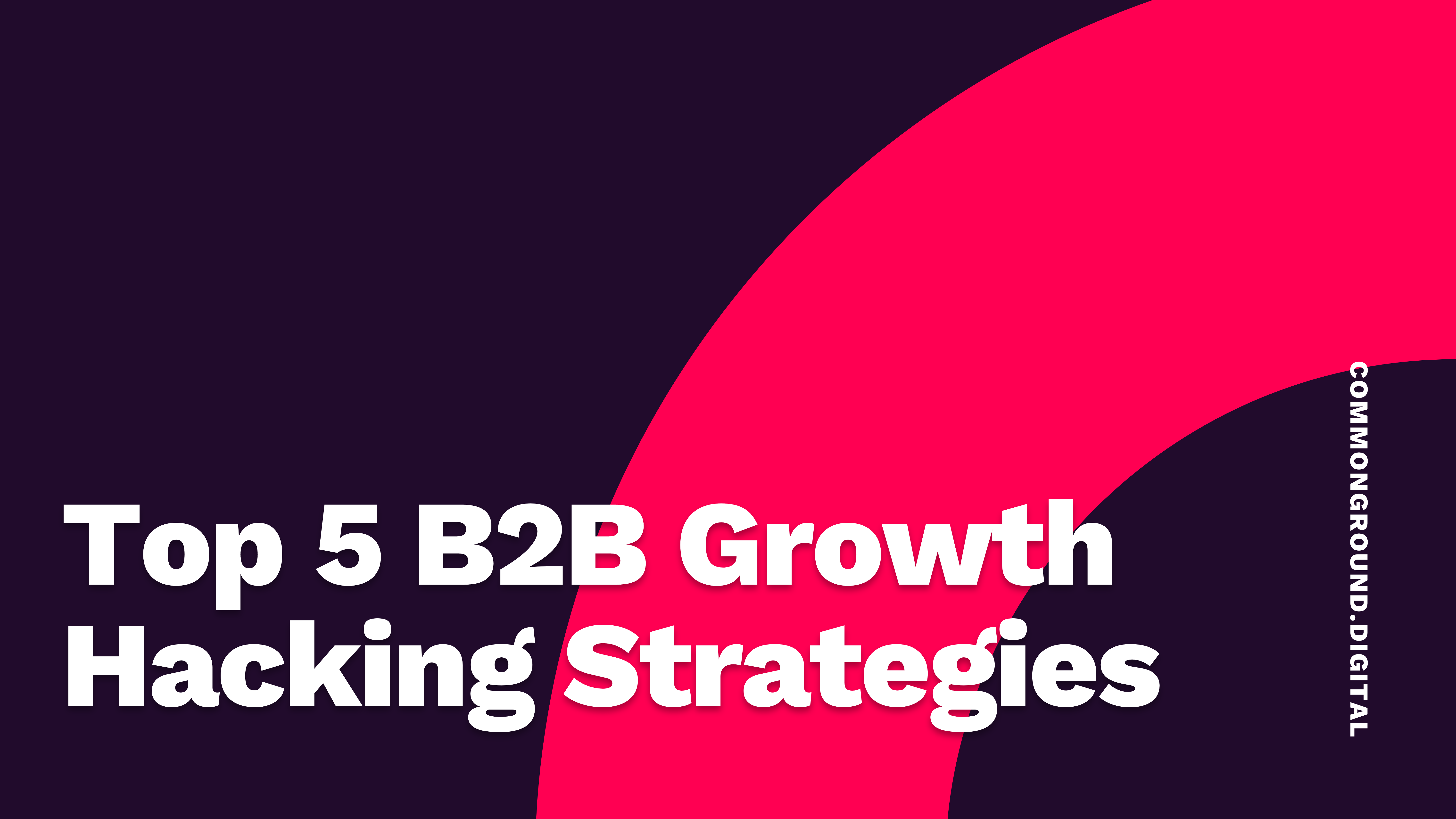 Top 5 B2B Growth Hacking Strategies