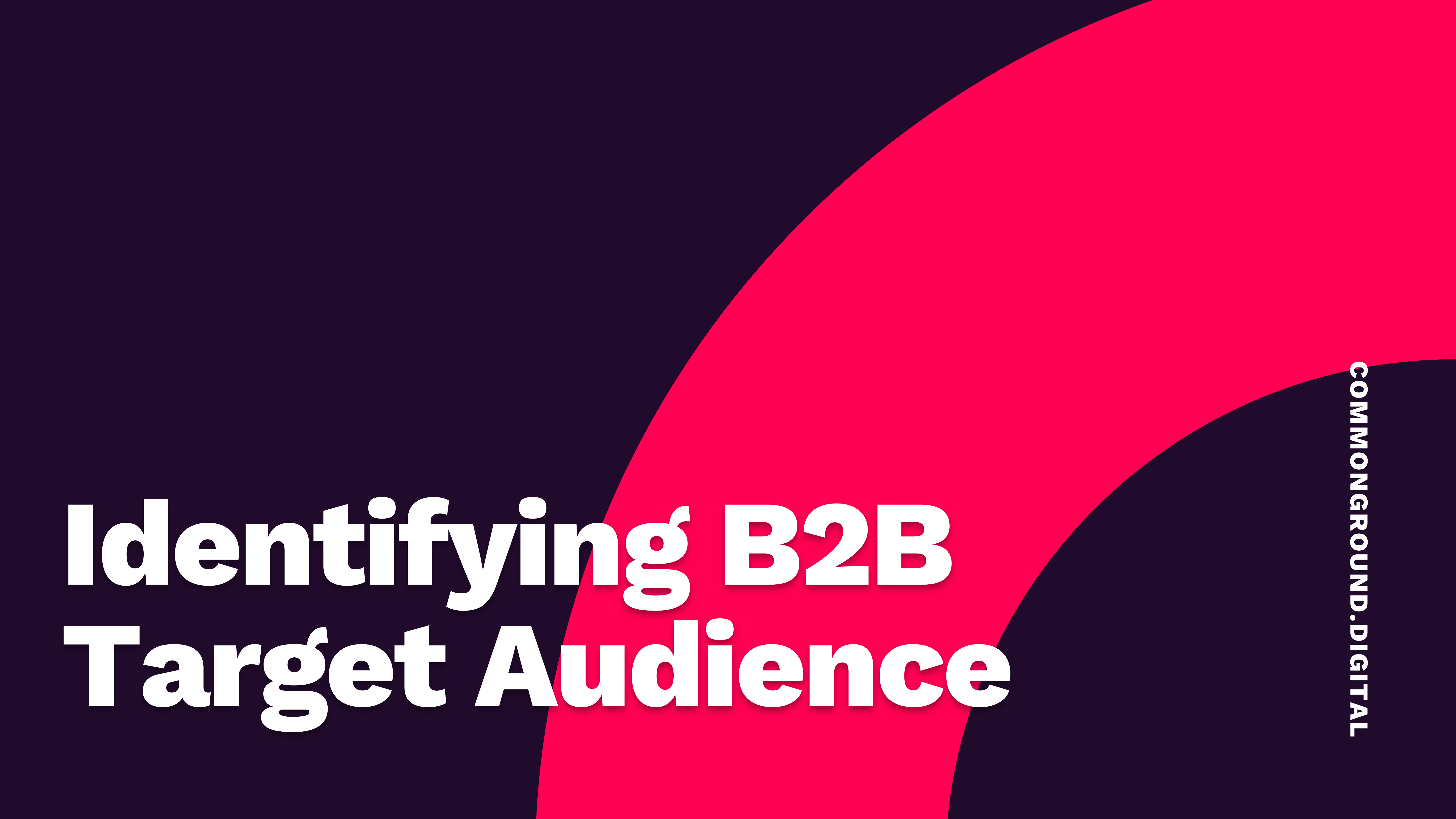 Identifying B2B Target Audience